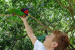 0701 Birdworld Kuranda